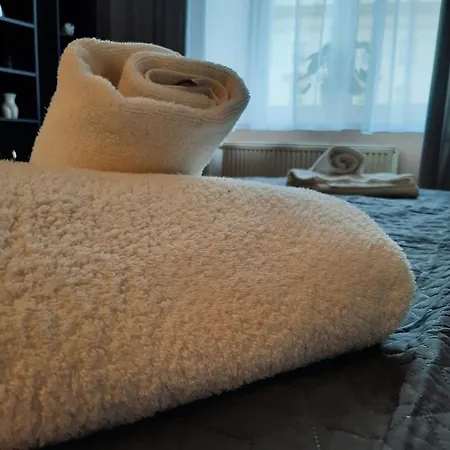 Luxury Senate 아파트 크라쿠프